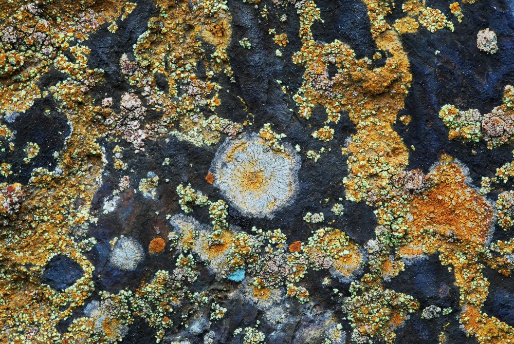 Univers cromàtic