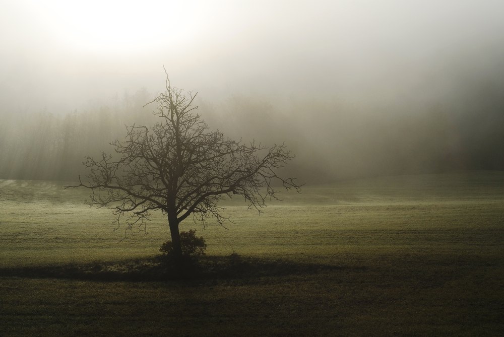 Llum rere l'ombra