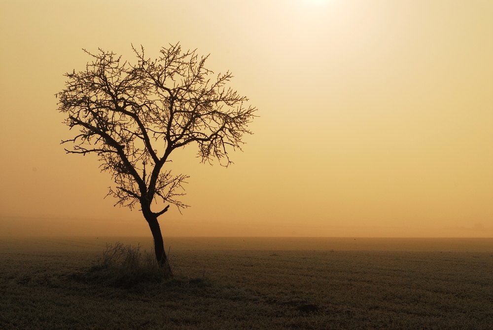 Quietud